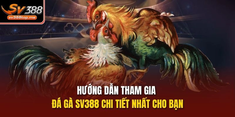 Hướng dẫn tham gia đá gà sv388 chi tiết nhất cho bạn